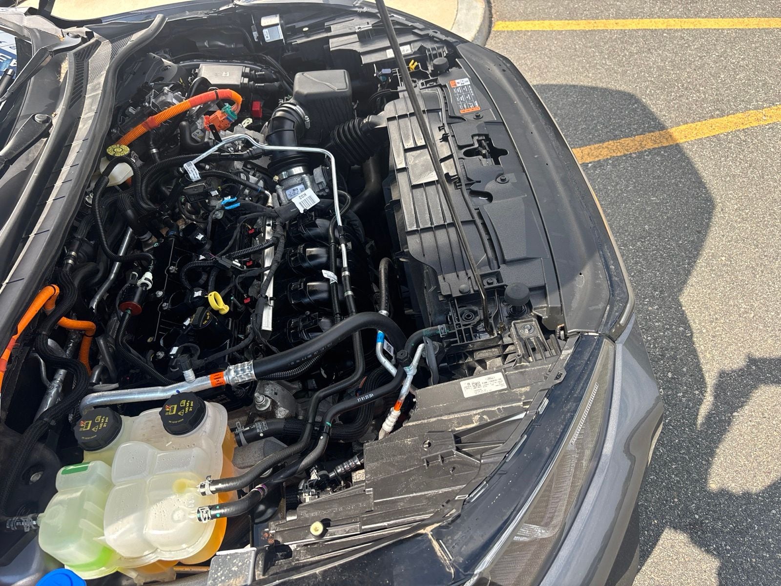 2023 Ford Escape Hybrid Platinum
