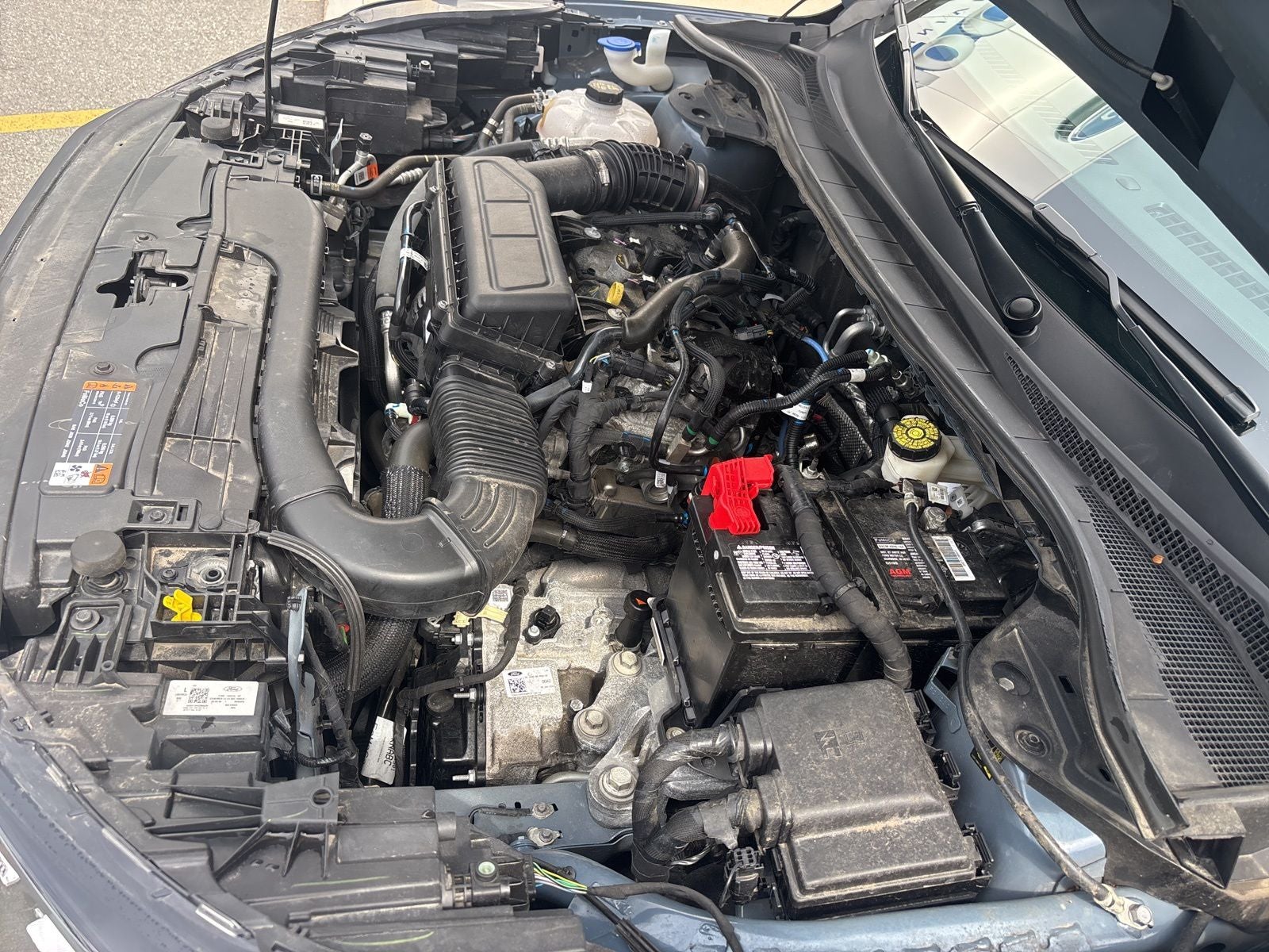 2024 Ford Escape ST-Line