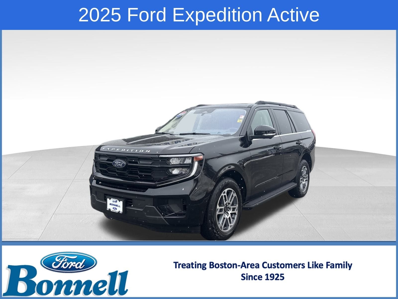 2025 Ford Expedition Active