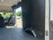 2024 Ford Transit-350 Base